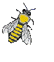 pszczóka